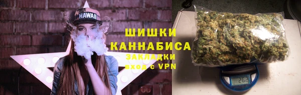 дживик Каменногорск