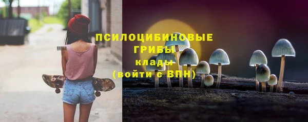 кокаин Каменка