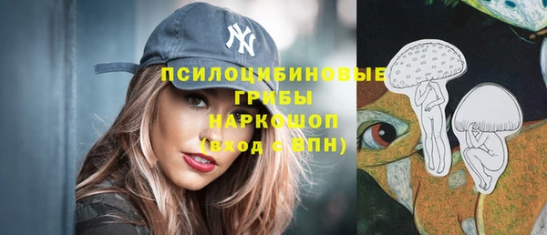 кокаин Каменка